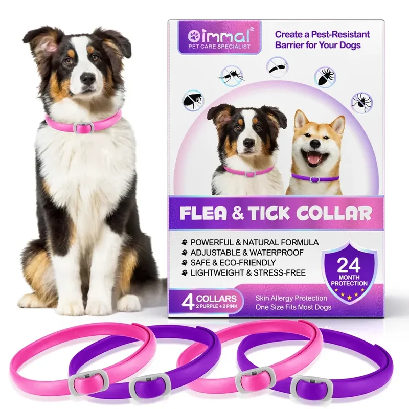 Pink Purple